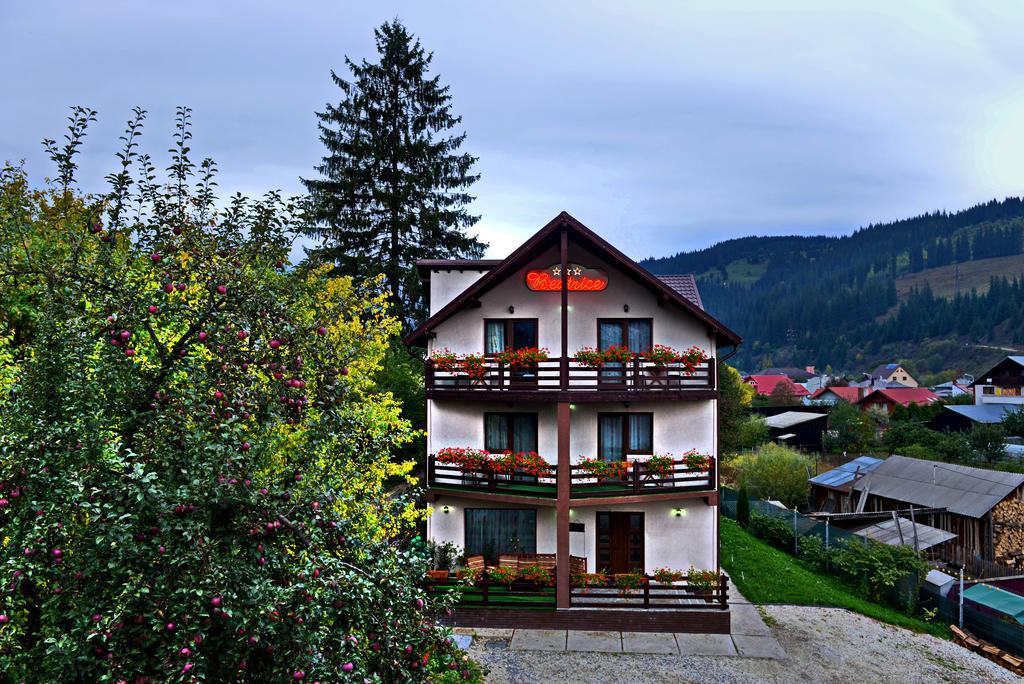 Pensiunea Beatrice Vatra Dornei Exterior foto